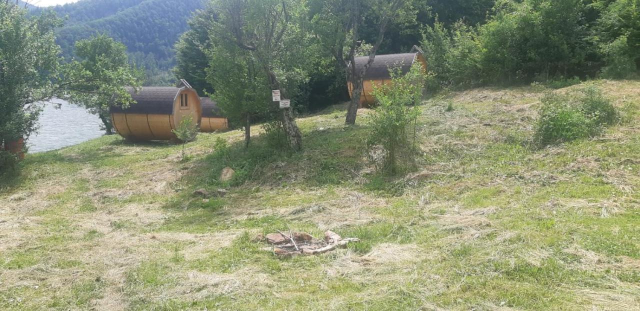 Pensiunea Izvorul Bucuriei سيريو المظهر الخارجي الصورة